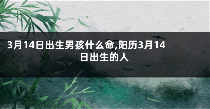3月14日出生男孩什么命,阳历3月14日出生的人