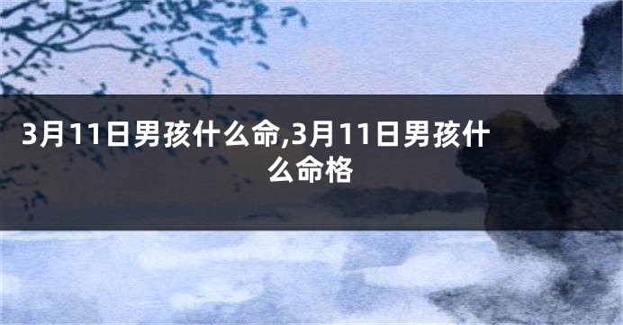 3月11日男孩什么命,3月11日男孩什么命格