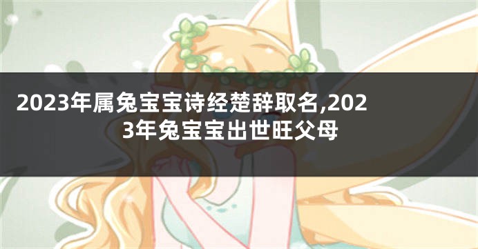 2023年属兔宝宝诗经楚辞取名,2023年兔宝宝出世旺父母