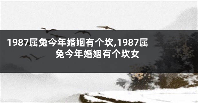 1987属兔今年婚姻有个坎,1987属兔今年婚姻有个坎女