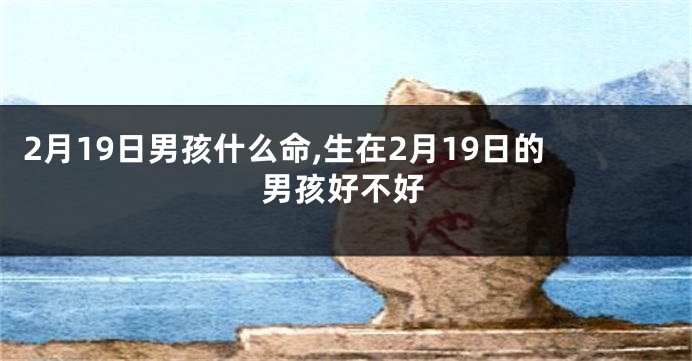 2月19日男孩什么命,生在2月19日的男孩好不好