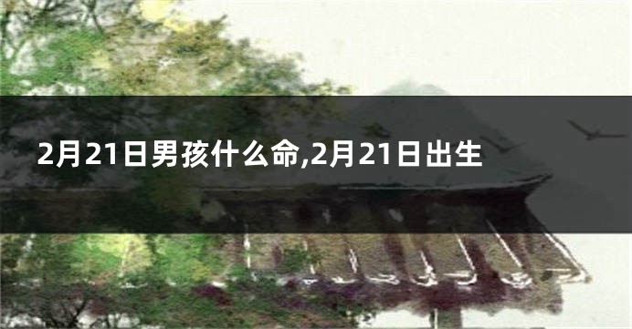 2月21日男孩什么命,2月21日出生