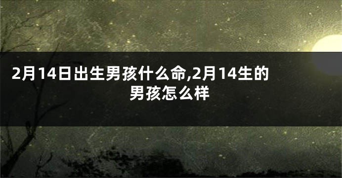 2月14日出生男孩什么命,2月14生的男孩怎么样