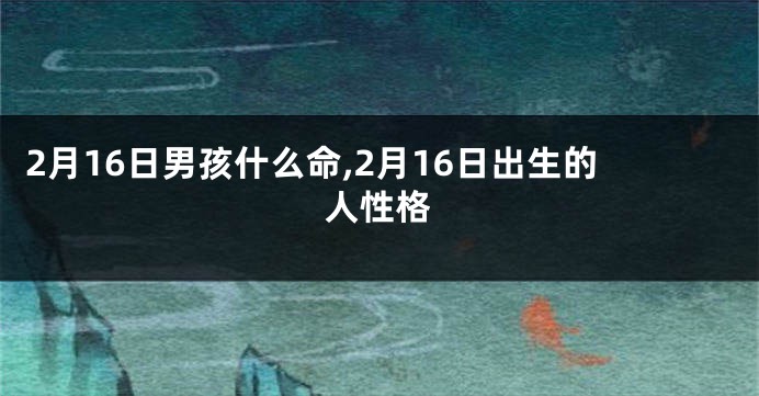 2月16日男孩什么命,2月16日出生的人性格