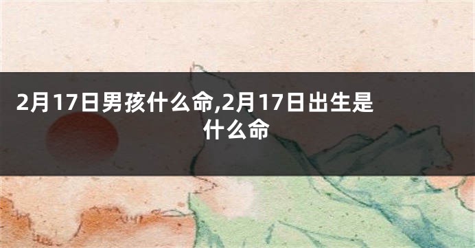 2月17日男孩什么命,2月17日出生是什么命