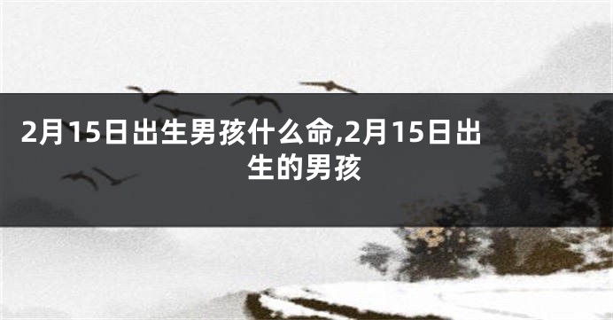 2月15日出生男孩什么命,2月15日出生的男孩