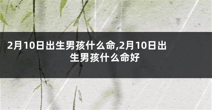 2月10日出生男孩什么命,2月10日出生男孩什么命好