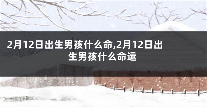 2月12日出生男孩什么命,2月12日出生男孩什么命运
