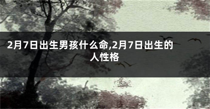 2月7日出生男孩什么命,2月7日出生的人性格