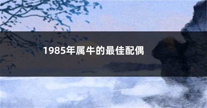 1985年属牛的最佳配偶