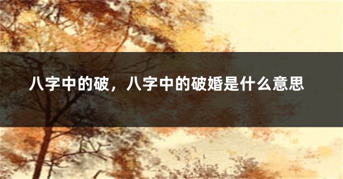 八字中的破,八字中的破婚是什么意思