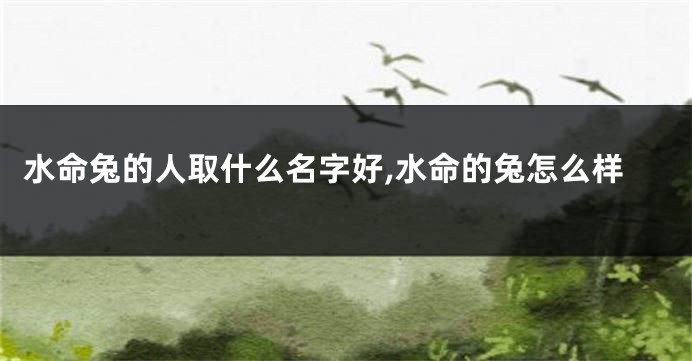 水命兔的人取什么名字好,水命的兔怎么样