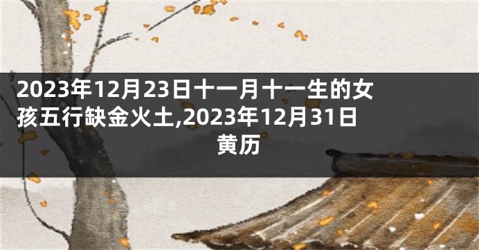 2023年12月23日十一月十一生的女孩五行缺金火土,2023年12月31日黄历