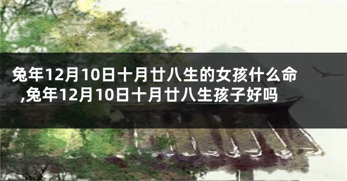 兔年12月10日十月廿八生的女孩什么命,兔年12月10日十月廿八生孩子好吗