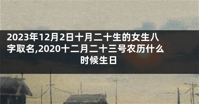 2023年12月2日十月二十生的女生八字取名,2020十二月二十三号农历什么时候生日