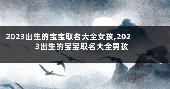 2023出生的宝宝取名大全女孩,2023出生的宝宝取名大全男孩