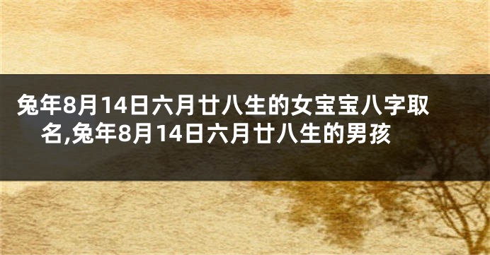 兔年8月14日六月廿八生的女宝宝八字取名,兔年8月14日六月廿八生的男孩