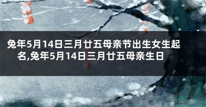 兔年5月14日三月廿五母亲节出生女生起名,兔年5月14日三月廿五母亲生日