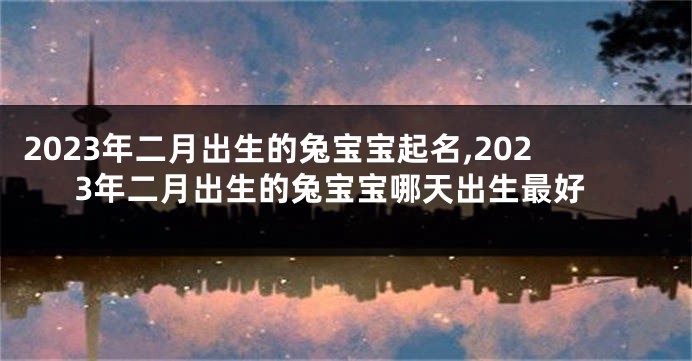 2023年二月出生的兔宝宝起名,2023年二月出生的兔宝宝哪天出生最好