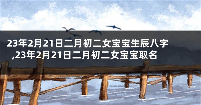 23年2月21日二月初二女宝宝生辰八字,23年2月21日二月初二女宝宝取名