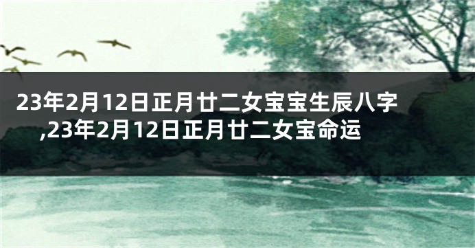 23年2月12日正月廿二女宝宝生辰八字,23年2月12日正月廿二女宝命运