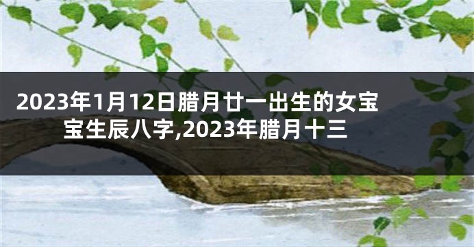 2023年1月12日腊月廿一出生的女宝宝生辰八字,2023年腊月十三