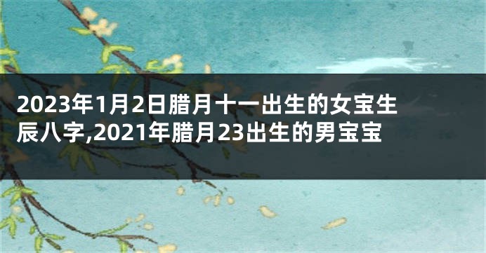 2023年1月2日腊月十一出生的女宝生辰八字,2021年腊月23出生的男宝宝