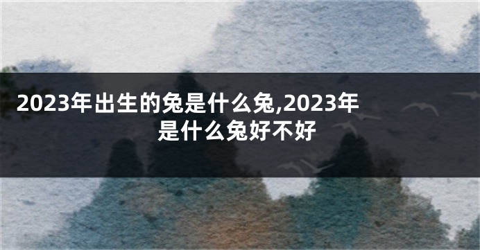 2023年出生的兔是什么兔,2023年是什么兔好不好