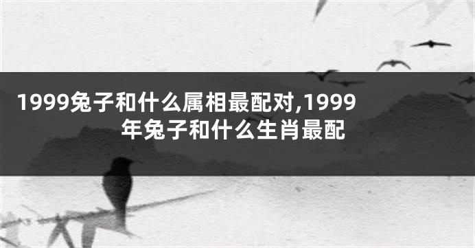1999兔子和什么属相最配对,1999年兔子和什么生肖最配