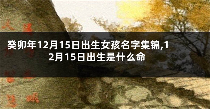 癸卯年12月15日出生女孩名字集锦,12月15日出生是什么命