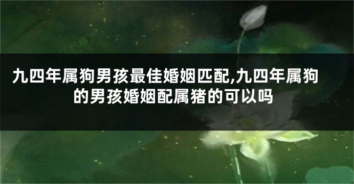 九四年属狗男孩最佳婚姻匹配,九四年属狗的男孩婚姻配属猪的可以吗