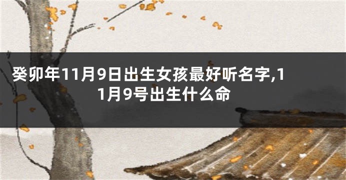 癸卯年11月9日出生女孩最好听名字,11月9号出生什么命