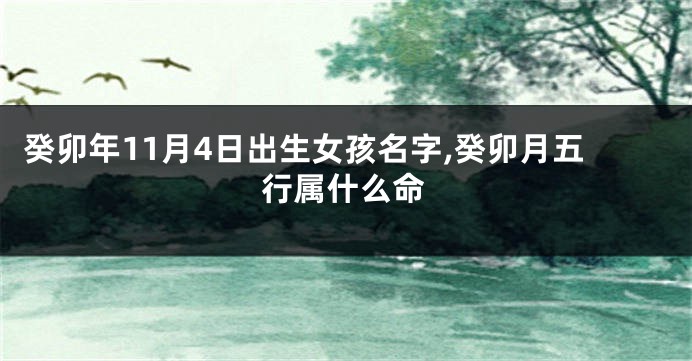 癸卯年11月4日出生女孩名字,癸卯月五行属什么命