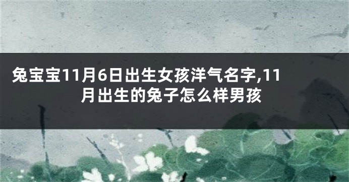 兔宝宝11月6日出生女孩洋气名字,11月出生的兔子怎么样男孩