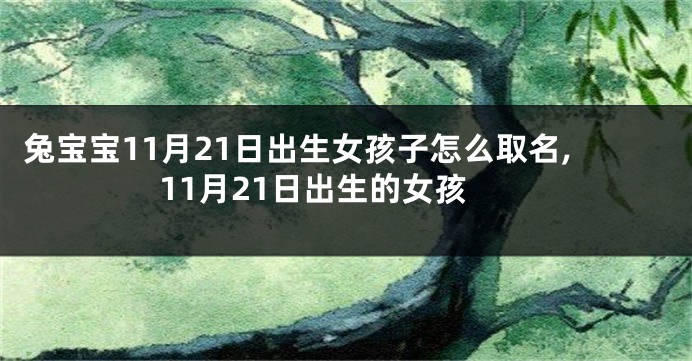兔宝宝11月21日出生女孩子怎么取名,11月21日出生的女孩