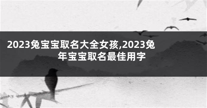 2023兔宝宝取名大全女孩,2023兔年宝宝取名最佳用字