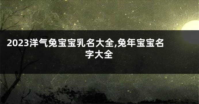 2023洋气兔宝宝乳名大全,兔年宝宝名字大全