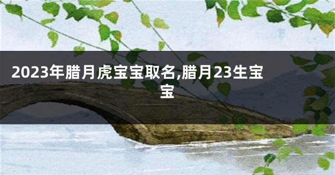 2023年腊月虎宝宝取名,腊月23生宝宝