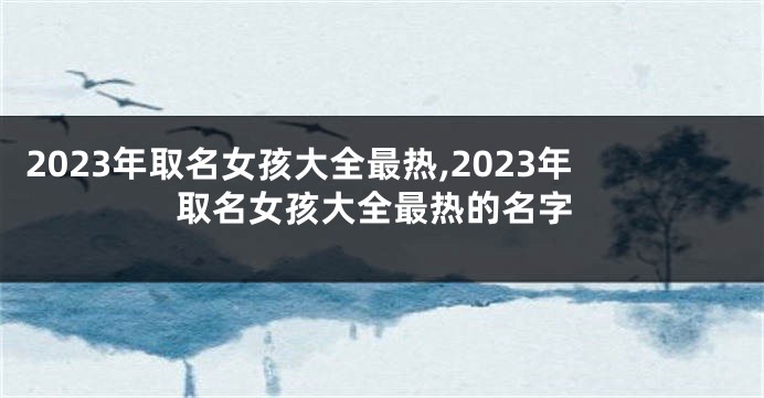 2023年取名女孩大全最热,2023年取名女孩大全最热的名字