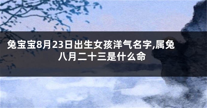兔宝宝8月23日出生女孩洋气名字,属兔八月二十三是什么命