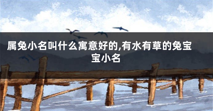 属兔小名叫什么寓意好的,有水有草的兔宝宝小名