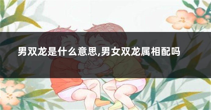男双龙是什么意思,男女双龙属相配吗