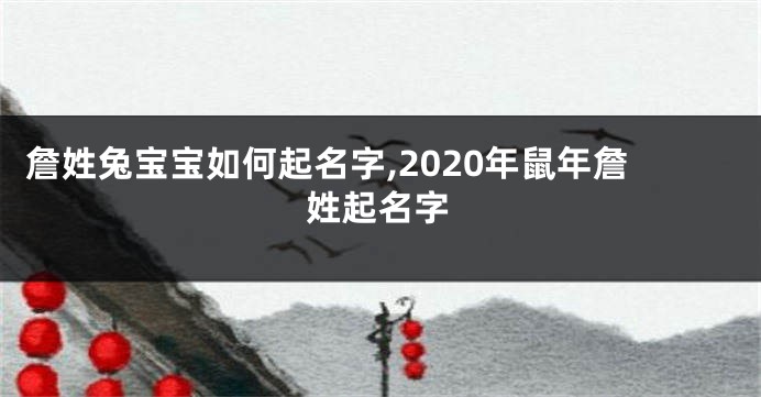 詹姓兔宝宝如何起名字,2020年鼠年詹姓起名字