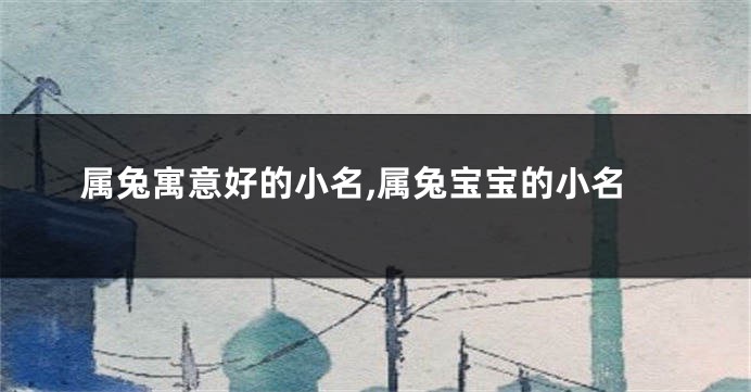属兔寓意好的小名,属兔宝宝的小名