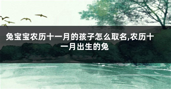兔宝宝农历十一月的孩子怎么取名,农历十一月出生的兔