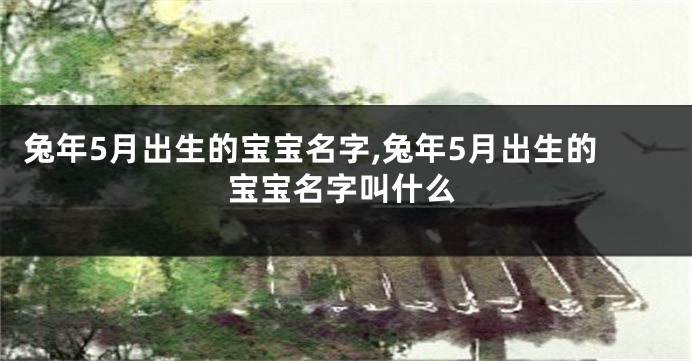 兔年5月出生的宝宝名字,兔年5月出生的宝宝名字叫什么
