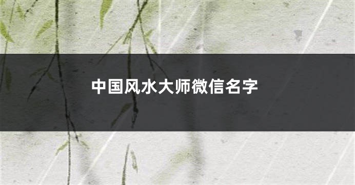 中国风水大师微信名字
