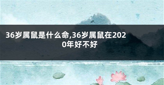 36岁属鼠是什么命,36岁属鼠在2020年好不好