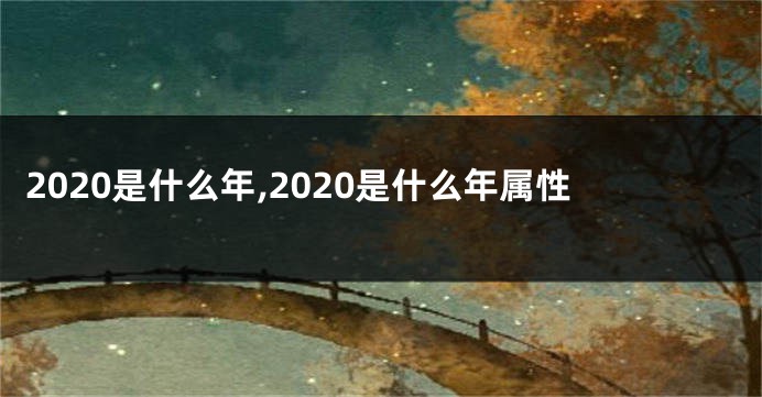 2020是什么年,2020是什么年属性