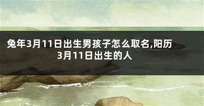 兔年3月11日出生男孩子怎么取名,阳历3月11日出生的人